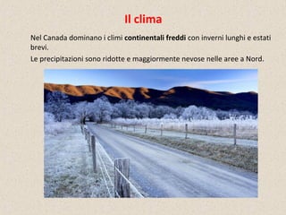 Il clima
Nel Canada dominano i climi continentali freddi con inverni lunghi e estati
brevi.
Le precipitazioni sono ridotte e maggiormente nevose nelle aree a Nord.
 