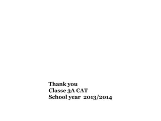 Thank you
Classe 3A CAT
School year 2013/2014
 