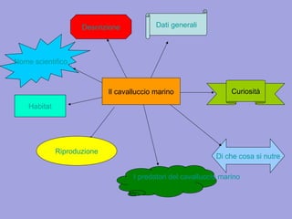 Il cavalluccio marino
Habitat
Descrizione
Riproduzione
I predatori del cavalluccio marino
Di che cosa si nutre
Nome scientifico
Dati generali
Curiosità
 
