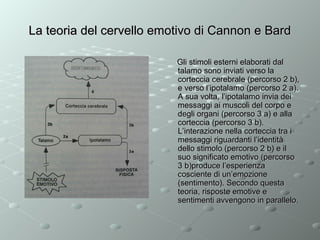 La teoria del cervello emotivo di Cannon e Bard
Gli stimoli esterni elaborati dal
talamo sono inviati verso la
corteccia cerebrale (percorso 2 b),
e verso l’ipotalamo (percorso 2 a).
A sua volta, l’ipotalamo invia dei
messaggi ai muscoli del corpo e
degli organi (percorso 3 a) e alla
corteccia (percorso 3 b).
L’interazione nella corteccia tra i
messaggi riguardanti l’identità
dello stimolo (percorso 2 b) e il
suo significato emotivo (percorso
3 b)produce l’esperienza
cosciente di un’emozione
(sentimento). Secondo questa
teoria, risposte emotive e
sentimenti avvengono in parallelo.

 