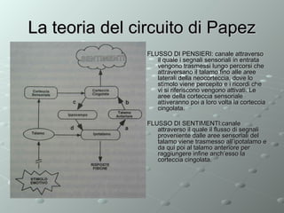 La teoria del circuito di Papez
FLUSSO DI PENSIERI: canale attraverso
il quale i segnali sensoriali in entrata
vengono trasmessi lungo percorsi che
attraversano il talamo fino alle aree
laterali della neocorteccia, dove lo
stimolo viene percepito e i ricordi che
vi si riferiscono vengono attivati. Le
aree della corteccia sensoriale
attiveranno poi a loro volta la corteccia
cingolata.
FLUSSO DI SENTIMENTI:canale
attraverso il quale il flusso di segnali
proveniente dalle aree sensoriali del
talamo viene trasmesso all’ipotalamo e
da qui poi al talamo anteriore per
raggiungere infine anch’esso la
corteccia cingolata.

 