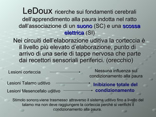 LeDoux ricerche sui fondamenti cerebrali
dell’apprendimento alla paura indotta nel ratto
dall’associazione di un suono (SC) e una scossa
elettrica (SI)

Nei circuiti dell’elaborazione uditiva la corteccia è
il livello più elevato d’elaborazione, punto di
arrivo di una serie di tappe nervosa che parte
dai recettori sensoriali periferici. (orecchio)
Lesioni corteccia
Lesioni Talamo uditivo
Lesioni Mesencefalo uditivo

Nessuna influenza sul
condizionamento alla paura

Inibizione totale del
condizionamento

Stimolo sonoro viene trasmesso attraverso il sistema uditivo fino a livello del
talamo ma non deve raggiungere la corteccia perché si verifichi il
condizionamento alla paura.

 