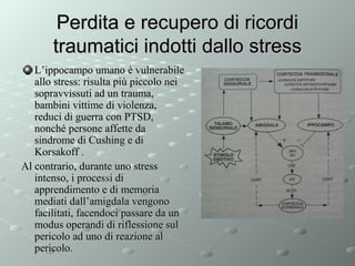 Perdita e recupero di ricordi
traumatici indotti dallo stress
L’ippocampo umano è vulnerabile
allo stress: risulta più piccolo nei
sopravvissuti ad un trauma,
bambini vittime di violenza,
reduci di guerra con PTSD,
nonché persone affette da
sindrome di Cushing e di
Korsakoff .
Al contrario, durante uno stress
intenso, i processi di
apprendimento e di memoria
mediati dall’amigdala vengono
facilitati, facendoci passare da un
modus operandi di riflessione sul
pericolo ad uno di reazione al
pericolo.

 