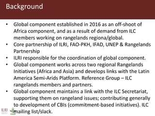 Update on International Land Coalition Rangelands Initiative—Global component