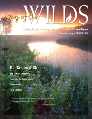 Celebrating our wilderness connections in the Chicago Region
                                                         Complimentary • SPRING 2011




Our Creeks & Streams
The Littlest Creatures

Paddling the Kishwaukee

River Otters

Rain Gardens


“[The Tree speaks]: Come to me, here beside the River.
 Plant yourself beside the River.”
                                     —Maya Angelou
 