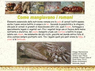 Elemento essenziale della nutrizione romana era la  puls  di cereali bolliti:spesso anche il pane veniva bollito in acqua o in  lac . Secondo la possibilità e le stagioni, alla puls di cereali in granelli si mescolavano altri cibi, quali l’ ovum , formaggio e specialmente legumi e vegetali vari. Fra i vegetali largo uso si faceva della malva nutriente e diuretica, del  caulis  mangiato crudo con  acetum  o bollito in acqua salata con  oleum , ma solamente dai più ricchi, giacchè nel mondo antico l’olio di oliva costava sempre piuttosto caro. Tra i legumi quelli più usati erano la  faba , il  cicer  e la  lenticula . Ortaggi. Riproduzione grafica con ravanelli, carote e rape. Pittura parietale. Pompei, Casa di Giulia Felice, 79 d.C. Museo Archeologico Nazionale, Napoli.  Come mangiavano i romani  