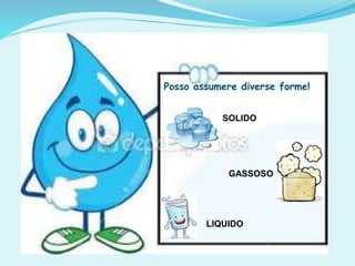 Posso assumere diverse forme!
SOLIDO
GASSOSO
LIQUIDO
 