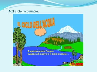 Il ciclo ricomincia.
 