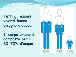 Tutti gli esseri
viventi hanno
bisogno d’acqua!
Il corpo umano è
composto per il
60-70% d’acqua.
 
