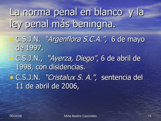 La norma penal en blanco  y la ley penal más beningna. C.S.J.N.  “Argenflora S.C.A.”,  6 de mayo de 1997. C.S.J.N.,  “Ayerza, Diego” , 6 de abril de 1998, con disidencias. C.S.J.N.  “Cristalux S. A.”,  sentencia del 11 de abril de 2006,  
