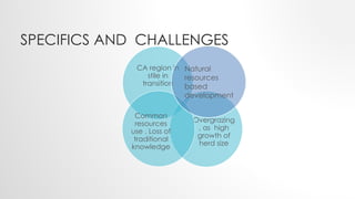 Central Asia Rangelands Initiative: Activities and results