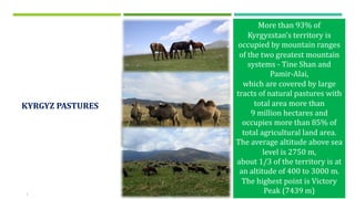 Usage of the “Electronic Jayit Committee” information system in pasture committees of Kyrgyzstan