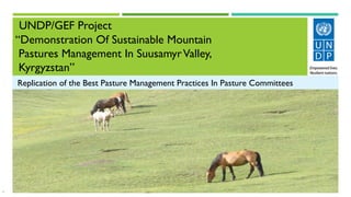 Usage of the “Electronic Jayit Committee” information system in pasture committees of Kyrgyzstan