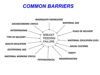 COMMON BARRIERS
BREAST
FEEDING
FAILURE
INTERPERSONAL
INADEQUATE KNOWLEDGE
SOCIOECONOMIC STATUS MATERNAL AGE
MATERNAL EDUCATION LEVEL
MATERNAL WORKING STATUS
PARITY
GESTATIONAL AGE
PLACE OF DELIVERY
TYPE OF DELIVERY
SOCIAL CUSTOMS
MODERNISATIONPSYCHOLOGICAL
HEALTH EDUCATION
 