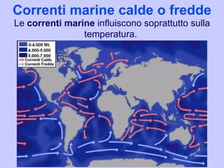 Correnti marine calde o fredde
Le correnti marine influiscono soprattutto sulla
                temperatura.
 