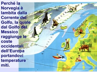 Perché la
Norvegia è
lambita dalla
Corrente del
Golfo, la quale
dal Golfo del
Messico
raggiunge le
coste
occidentali
dell’Europa
portandovi
temperature
miti.
 