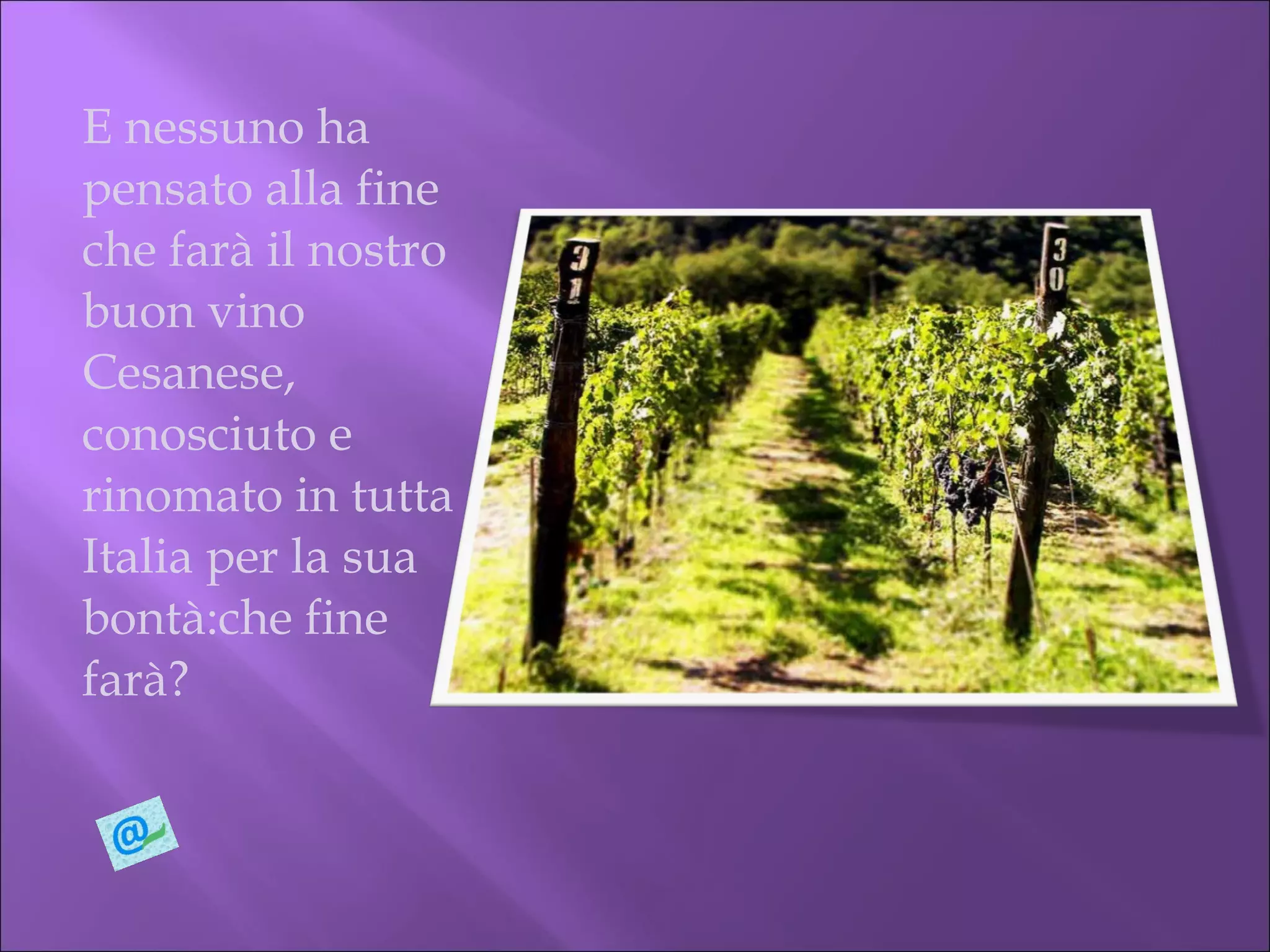 E nessuno ha pensato alla fine che farà il nostro buon vino Cesanese, conosciuto e rinomato in tutta Italia per la sua bontà:che fine farà? 