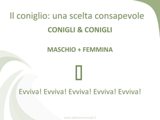 Il coniglio: una scelta consapevole
           CONIGLI & CONIGLI

           MASCHIO + FEMMINA


                        ...