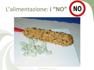 L’alimentazione: i “NO”




           www.addestrareconigli.it
 