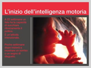 L’inizio dell’intelligenza motoria
A 22 settimane un
feto ha la capacità
di succhiare
ritmicamente il
pollice.
È un’attività
intenzionale.
Poche settimane
dopo inizierà a
mostrare un sorriso
o un segno di
disgusto.
 