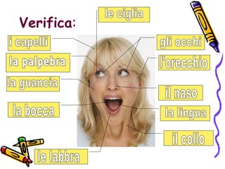 Verifica:
 