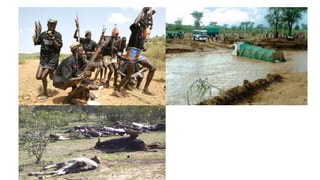 Rangelands Initiative Africa