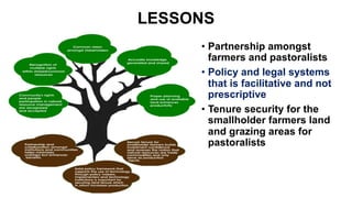 Rangelands Initiative Africa