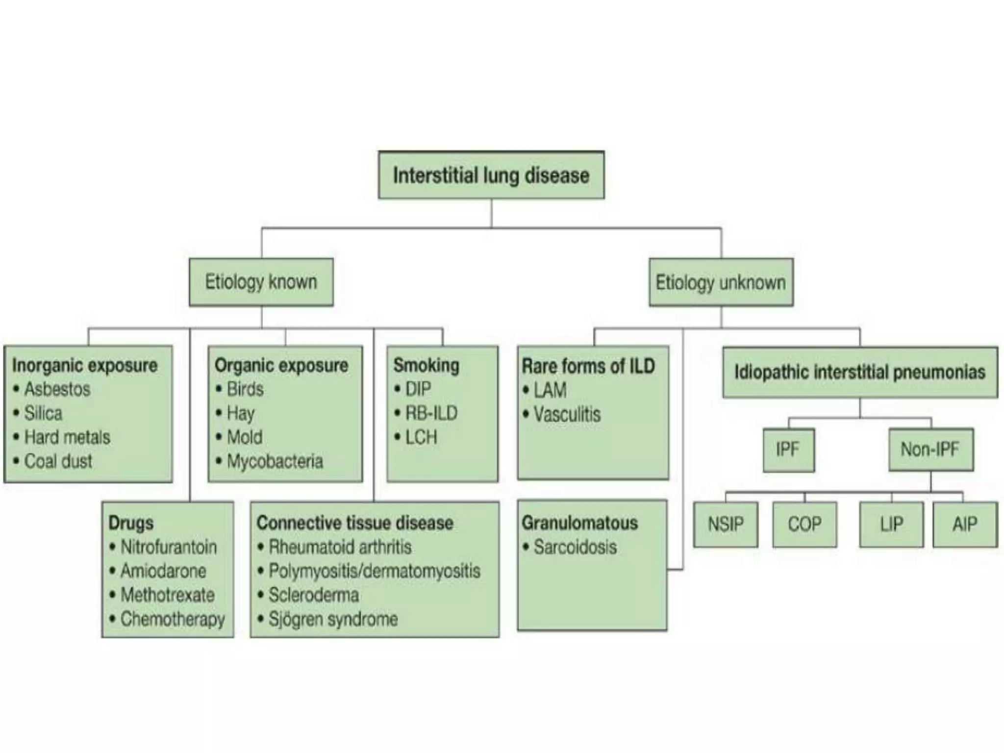 Interstitial Lung Disease | PPTX
