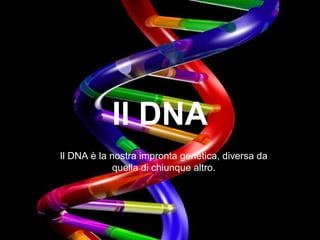 Il DNA
Il DNA è la nostra impronta genetica, diversa da
             quella di chiunque altro.
 