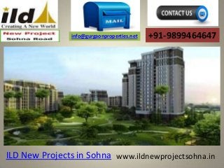 info@gurgaonproperties.net

+91-9899464647

ILD New Projects in Sohna www.ildnewprojectsohna.in

 