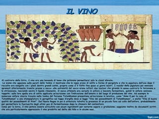 Al contrario della birra, il vino era una bevanda di lusso che potevano permettersi solo le classi elevate.
Le scene che appaiono sulle pareti delle tombe ci mostrano che le vigne erano di solito a forma di pergolato e che la pigiatura dell’uva dopo il
raccolto era eseguita con i piedi dentro grandi catini, proprio come si è fatto fino quasi ai giorni nostri. I residui della pigiatura poi venivano
spremuti ulteriormente tramite presse a sacco: alle estremità del sacco erano infilati due bastoni che girando in senso contrario lo torcevano e
lo strizzavano, lasciando uscire il liquido rimanente. Il succo ottenuto era versato in anfore e lasciato fermentare, quindi le anfore venivano
tappate; sulla loro spalla era di solito applicata un’iscrizione con l’indicazione dell’annata e del luogo di produzione del vino. Ad esempio le
numerose anfore vinarie trovate nella tomba del faraone Tutankhamon presentano un’iscrizione in ieratico, come “Anno 4 per la casa di
Tutankhamon” e una stampigliatura in geroglifico sul tappo d’argilla dove si legge “Vino dei possedimenti di Tutankhamon”, o anche “Vino di buona
qualità dei possedimenti di Aton”. Dal Nuovo Regno in poi è attestata talvolta la presenza di un piccolo foro sul collo dell’anfora, probabilmente
per permettere la fuoriuscita degli ultimi gas di fermentazione dopo la chiusura del contenitore.
Come per la birra, il vino poteva essere arricchito con alcuni ingredienti per variarne sapore e gradazione; sappiamo inoltre da documenti scritti
che era particolarmente apprezzato il vino prodotto nel delta del Nilo e in alcune oasi.
IL VINOIL VINO
 