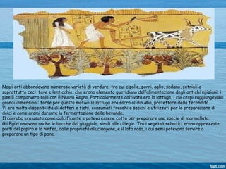 Negli orti abbondavano numerose varietà di verdure, tra cui cipolle, porri, aglio, sedano, cetrioli e
soprattutto ceci, fave e lenticchie, che erano elemento quotidiano dell’alimentazione degli antichi egiziani; i
piselli comparvero solo con il Nuovo Regno. Particolarmente coltivata era la lattuga, i cui cespi raggiungevano
grandi dimensioni: forse per questo motivo la lattuga era sacra al dio Min, protettore della fecondità.
Vi era molta disponibilità di datteri e fichi, consumati freschi o secchi e utilizzati per la preparazione di
dolci e come aromi durante la fermentazione delle bevande.
Il carrubo era usato come dolcificante e poteva essere cotto per preparare una specie di marmellata.
Gli Egizi amavano anche le bacche del giuggiolo, simili alle ciliegie. Tra i vegetali selvatici erano apprezzate
parti del papiro e la ninfea, dalle proprietà allucinogene, e il loto rosa, i cui semi potevano servire a
preparare un tipo di pane.
 