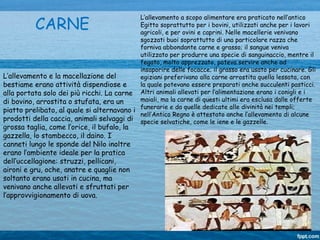 CARNE
L’allevamento e la macellazione del
bestiame erano attività dispendiose e
alla portata solo dei più ricchi. La carne
di bovino, arrostita o stufata, era un
piatto prelibato, al quale si alternavano i
prodotti della caccia, animali selvaggi di
grossa taglia, come l’orice, il bufalo, la
gazzella, lo stambecco, il daino. I
canneti lungo le sponde del Nilo inoltre
erano l’ambiente ideale per la pratica
dell’uccellagione: struzzi, pellicani,
aironi e gru, oche, anatre e quaglie non
soltanto erano usati in cucina, ma
venivano anche allevati e sfruttati per
l’approvvigionamento di uova.
L’allevamento a scopo alimentare era praticato nell’antico
Egitto soprattutto per i bovini, utilizzati anche per i lavori
agricoli, e per ovini e caprini. Nelle macellerie venivano
sgozzati buoi soprattutto di una particolare razza che
forniva abbondante carne e grasso; il sangue veniva
utilizzato per produrre una specie di sanguinaccio, mentre il
fegato, molto apprezzato, poteva servire anche ad
insaporire delle focacce; il grasso era usato per cucinare. Gli
egiziani preferivano alla carne arrostita quella lessata, con
la quale potevano essere preparati anche succulenti pasticci.
Altri animali allevati per l’alimentazione erano i conigli e i
maiali, ma la carne di questi ultimi era esclusa dalle offerte
funerarie e da quelle dedicate alle divinità nei templi;
nell’Antico Regno è attestato anche l’allevamento di alcune
specie selvatiche, come le iene e le gazzelle.
 