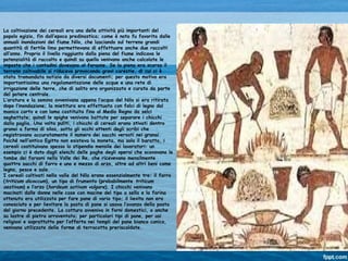 La coltivazione dei cereali era una delle attività più importanti del
popolo egizio, fin dall’epoca predinastica; come è noto fu favorita dalle
annuali inondazioni del fiume Nilo, che lasciando sul terreno grandi
quantità di fertile limo permettevano di effettuare anche due raccolti
all’anno. Proprio il livello raggiunto dalla piena del fiume indicava le
potenzialità di raccolto e quindi su quello venivano anche calcolate le
imposte che i contadini dovevano al faraone. Se la piena era scarsa il
terreno coltivabile si riduceva provocando gravi carestie, di cui ci è
stata tramandata notizia da diversi documenti; per questo motivo era
importantissima una regolamentazione delle acque e una rete di
irrigazione delle terre, che di solito era organizzata e curata da parte
del potere centrale.
L’aratura e la semina avvenivano appena l’acqua del Nilo si era ritirata
dopo l’inondazione; la mietitura era effettuata con falci di legno dal
manico corto e con lama costituita fino al Medio Regno da selci
seghettate; quindi le spighe venivano battute per separare i chicchi
dalla paglia. Una volta puliti, i chicchi di cereali erano stivati dentro
granai a forma di silos, sotto gli occhi attenti degli scribi che
registravano accuratamente il numero dei sacchi versati nei granai.
Poiché nell’antico Egitto non esisteva la moneta, ma solo il baratto, i
cereali costituivano spesso lo stipendio mensile dei lavoratori: un
esempio ci è dato dagli elenchi delle paghe degli operai che scavavano le
tombe dei faraoni nella Valle dei Re, che ricevevano mensilmente
quattro sacchi di farro e uno e mezzo di orzo, oltre ad altri beni come
legna, pesce e sale.
I cereali coltivati nella valle del Nilo erano essenzialmente tre: il farro
(triticum dicoccum), un tipo di frumento (probabilmente triticum
aestivum) e l’orzo (hordeum sativum vulgare). I chicchi venivano
macinati dalle donne nelle case con macine del tipo a sella e la farina
ottenuta era utilizzata per fare pane di vario tipo; il lievito non era
conosciuto e per lievitare la pasta di pane si usava l’avanzo della pasta
del giorno precedente. La cottura avveniva in forni domestici, o anche
su lastre di pietra arroventata; per particolari tipi di pane, per usi
religiosi e soprattutto per l’offerta nei templi del pane bianco conico,
venivano utilizzate delle forme di terracotta preriscaldate.
 