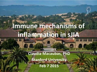 Immune mechanisms of
inflammation in sJIA
Claudia Macaubas, PhD
Stanford University
Feb 7 2015
 