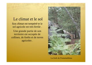Le climat et le sol
Son climat est tempéré et le
sol agricole est très fertile .
Une grande partie de son
territoire est occupée de
collines, de forêts et de terres
agricoles .
La forêt de Fontainebleau
 