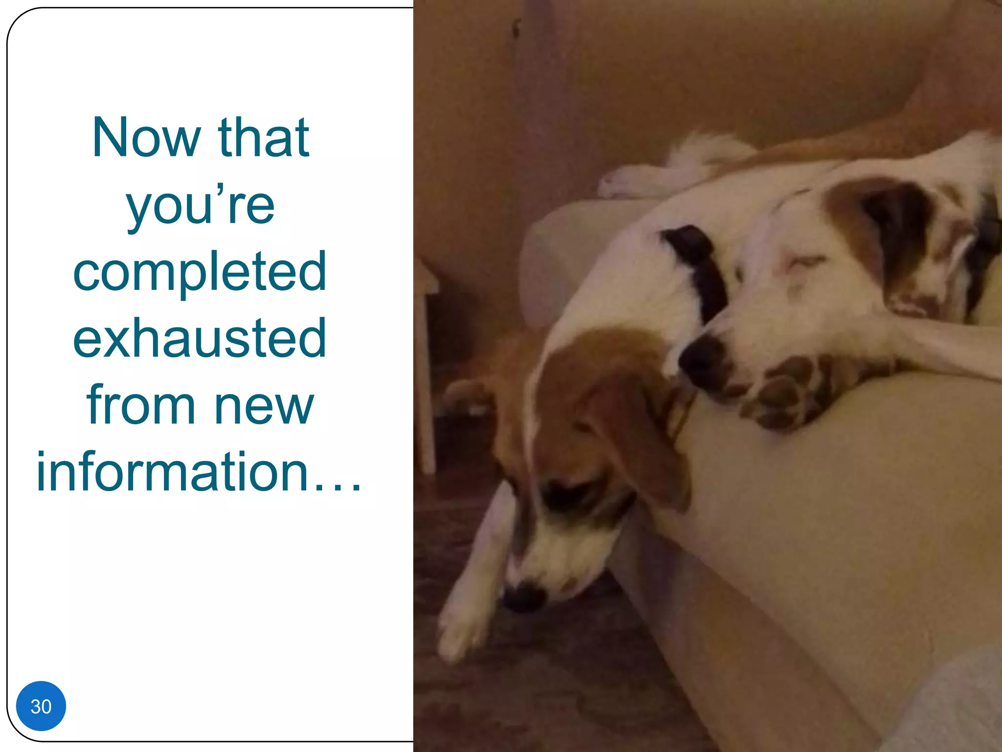 Now that
you’re
completed
exhausted
from new
information…

30

 