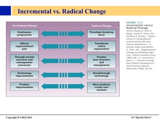 Copyright © AMGI 2014 	

31st March2 201423	

Incremental vs. Radical Change	

 