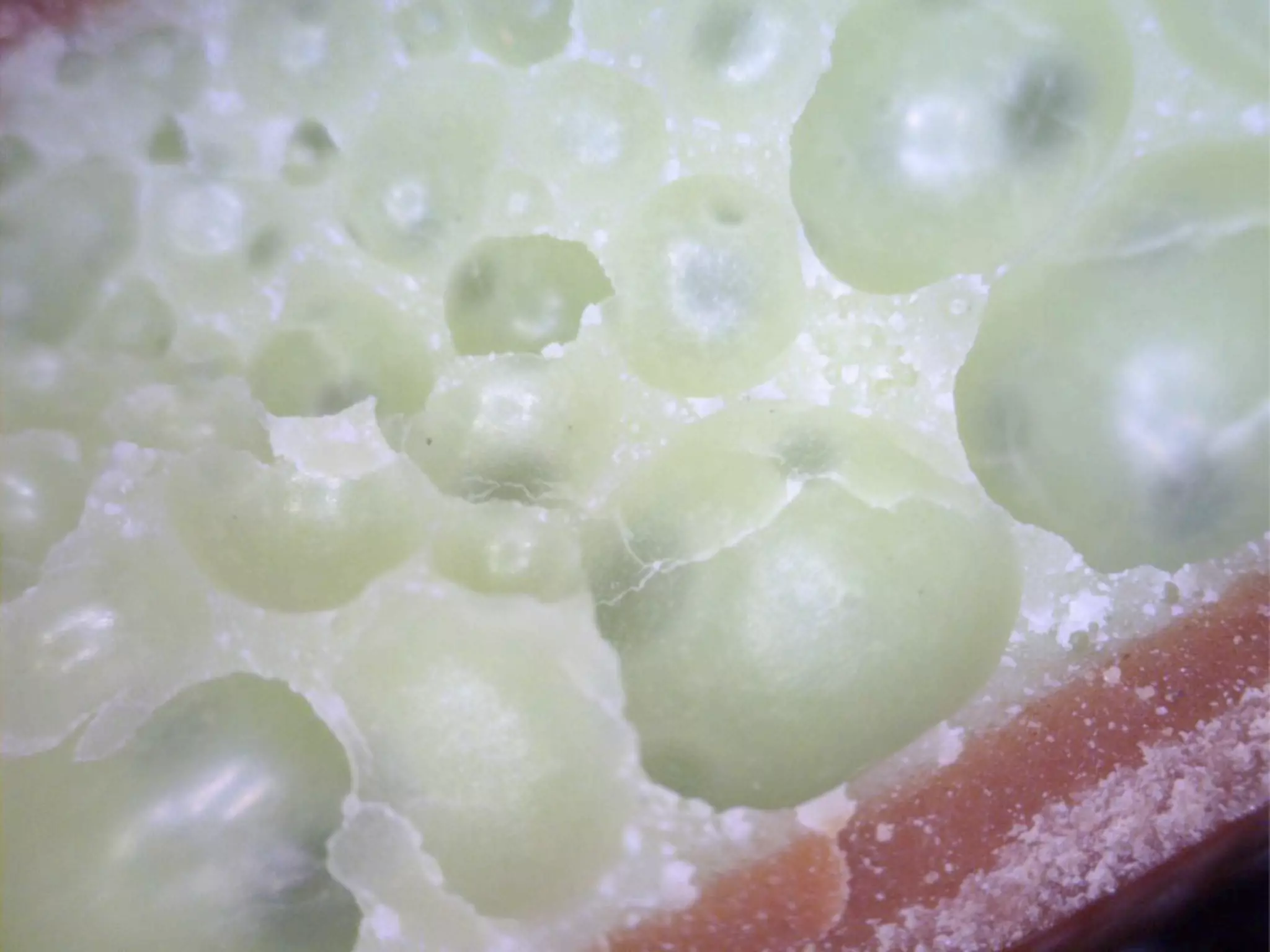 Becoming an Agent of Change in Your Organization