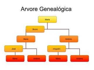 Arvore Genealógica Maria Maria António Bruno Maria António Maria António José ninguém
