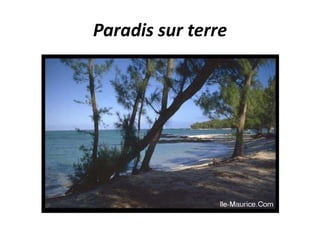 Paradis sur terre
 