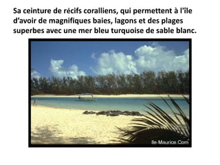 Sa ceinture de récifs coralliens, qui permettent à l'île
d’avoir de magnifiques baies, lagons et des plages
superbes avec une mer bleu turquoise de sable blanc.
 