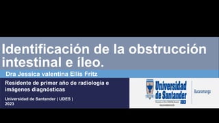 Identificación de la obstrucción
intestinal e íleo.
Dra Jessica valentina Ellis Fritz
Residente de primer año de radiología e
imágenes diagnósticas
Universidad de Santander ( UDES )
2023
 