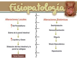 Alteraciones Locales Alteraciones Sistémicas
Del Peristaltismo
Edema de la pared intestinal
Líquidos y Gases
Dilatación del Asa intestinal y la
pared se adelgaza
Tercer Espacio
Deshidratación
Hemoconcentración
Oliguria
Shock Hipovolémico
Hipocloremia
 