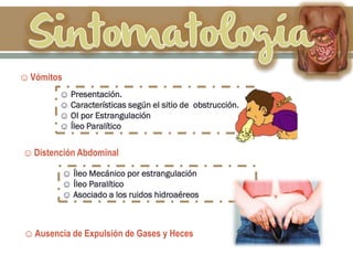 ☺Vómitos
☺ Presentación.
☺ Características según el sitio de obstrucción.
☺ OI por Estrangulación
☺ Íleo Paralítico
☺Distención Abdominal
☺ Íleo Mecánico por estrangulación
☺ Íleo Paralítico
☺ Asociado a los ruidos hidroaéreos
☺Ausencia de Expulsión de Gases y Heces
 