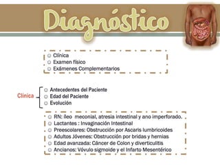 ☺ Clínica
☺ Examen físico
☺ Exámenes Complementarios
Clínica
☺ Antecedentes del Paciente
☺ Edad del Paciente
☺ Evolución
☺ RN: íleo meconial, atresia intestinal y ano imperforado.
☺ Lactantes : Invaginación Intestinal
☺ Preescolares: Obstrucción por Ascaris lumbricoides
☺ Adultos Jóvenes: Obstrucción por bridas y hernias
☺ Edad avanzada: Cáncer de Colon y diverticulitis
☺ Ancianos: Vóvulo sigmoide y el Infarto Mesentérico
 