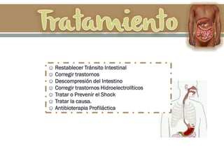 ☺ Restablecer Tránsito Intestinal
☺ Corregir trastornos
☺ Descompresión del Intestino
☺ Corregir trastornos Hidroelectrolíticos
☺ Tratar o Prevenir el Shock
☺ Tratar la causa.
☺ Antibioterapia Profiláctica
 