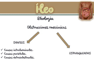 Etiología
Obstrucciones mecánicas
SIMPLES
 Causas intraluminales.
 Causas parietales.
 Causas extraintestinales.
ESTRANGULADAS
 