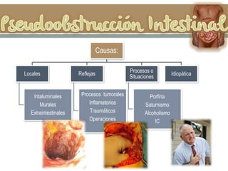 Causas:
Locales
Intaluminales
Murales
Extraintestinales
Reflejas
Procesos tumorales
Inflamatorios
Traumáticos
Operaciones
Procesos o
Situaciones
Porfiria
Saturnismo
Alcoholismo
IC
Idiopática
 
