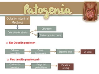 Oclusión intestinal
Mecánica
Detención del tránsito
Obturación
Calibre de la luz/ cierre
Oclusión
Incompleta
Causa
Responsable
Espasmo local OI Mixta
Obstrucción
Mecánica
Fatiga del
peristaltismo
Paralítica
(mixta)
☺ Esa Oclusión puede ser:
☺ Pero también puede ocurrir:
 